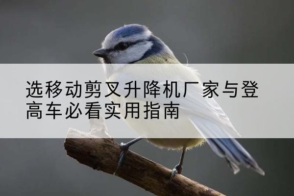陵城电动升降机厂家-选移动剪叉升降机厂家与登高车必看实用指南