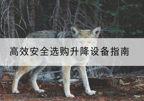 陵城升降货梯厂家推荐-*安全选购升降设备指南