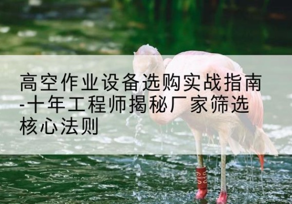 陵城剪叉式升降机厂家-高空作业设备选购实战指南-十年工程师揭秘厂家筛选核心法则